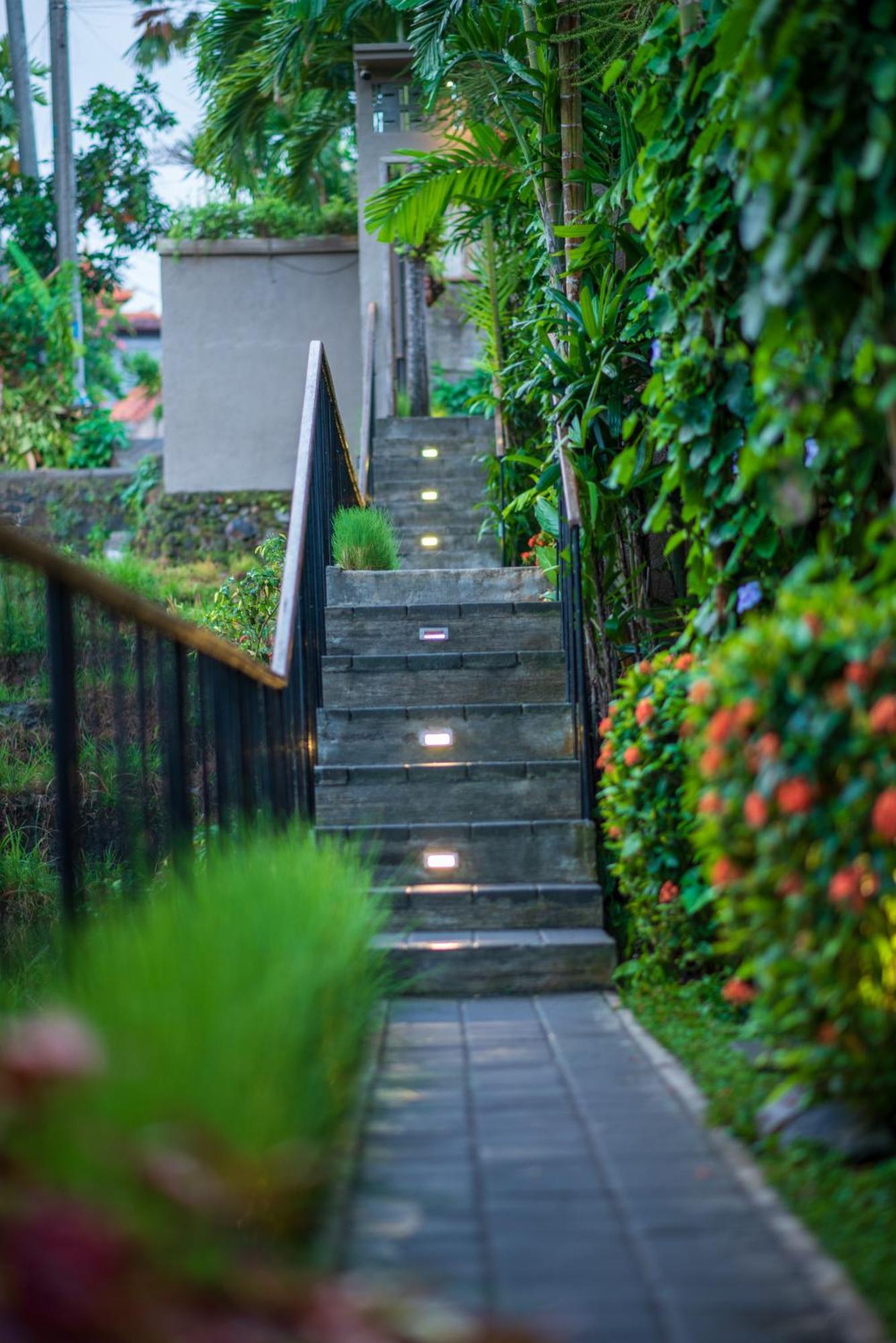 Pangkung Sari Bed And Breakfast Чангу Экстерьер фото