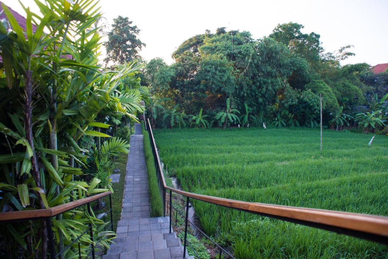 Pangkung Sari Bed And Breakfast Чангу Экстерьер фото