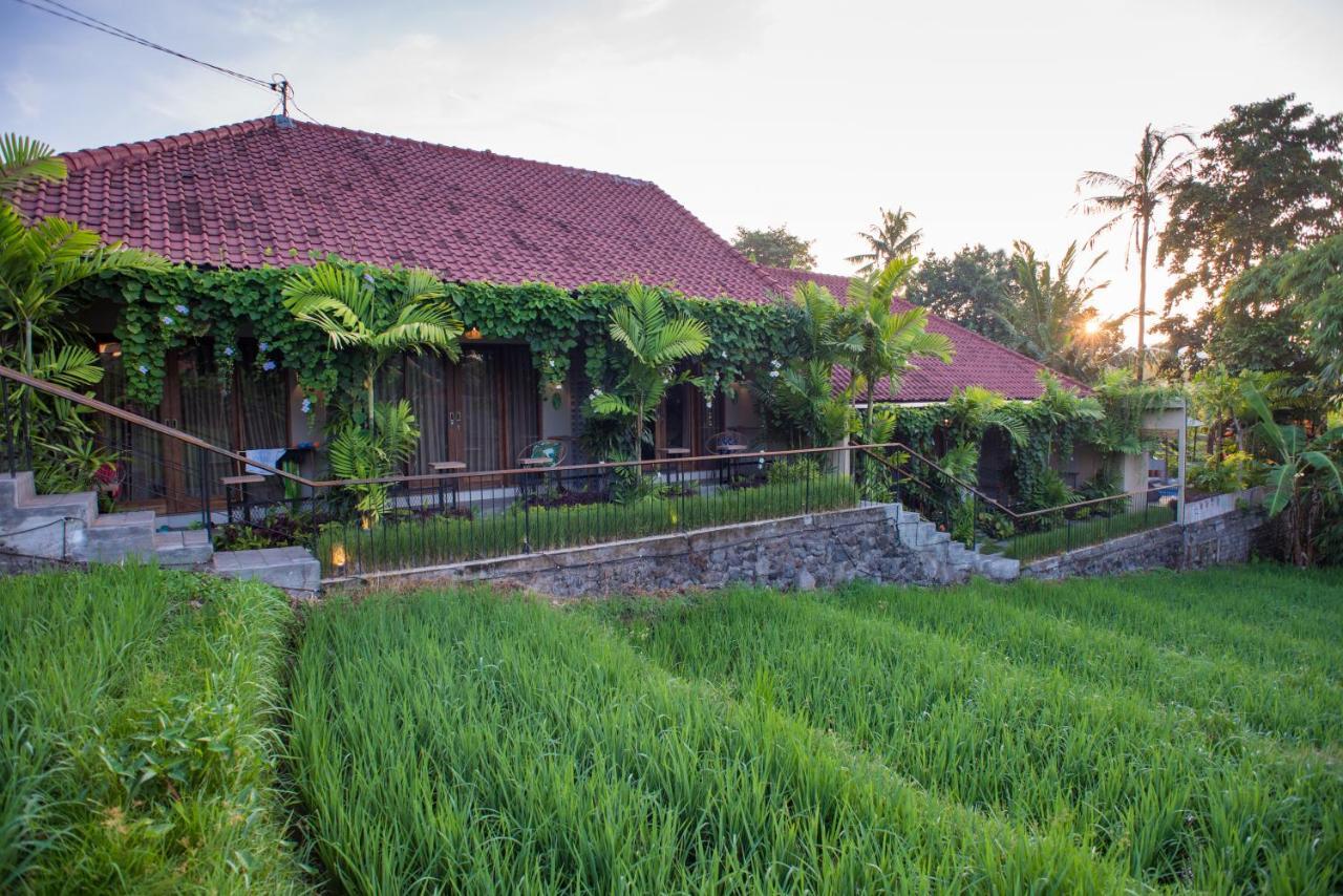 Pangkung Sari Bed And Breakfast Чангу Экстерьер фото